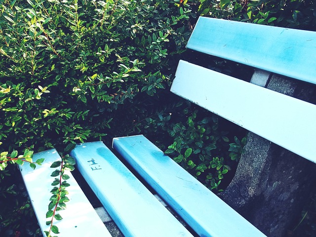 成为历史上 成为历史上