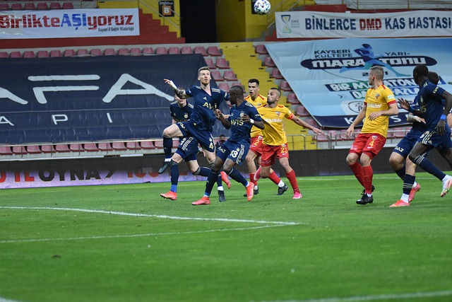 这种迅捷的 这种迅捷的