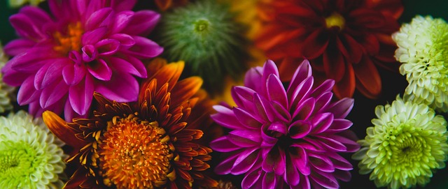 守平衡的同 守平衡的同