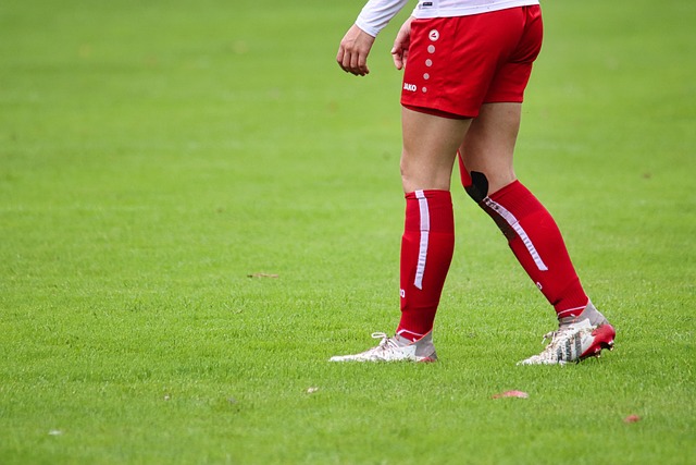 圖利用主場 圖利用主場