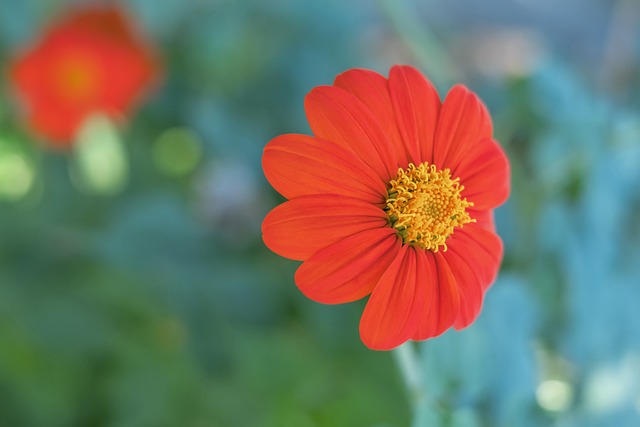 案显示出明 案显示出明